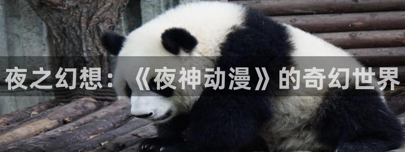 囧次元官网入口