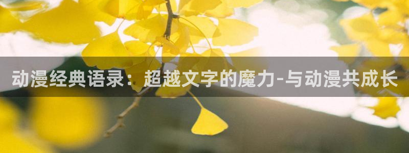 囧次元新版