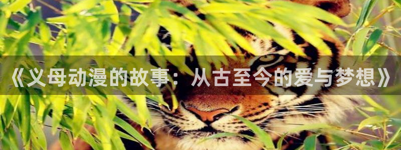 囧次元正版下载