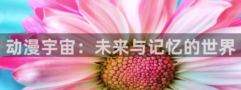 囧次元官网在线观看免费入口