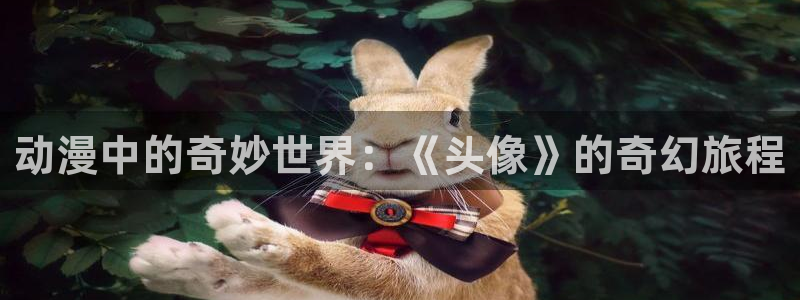 囧次元可看片子版