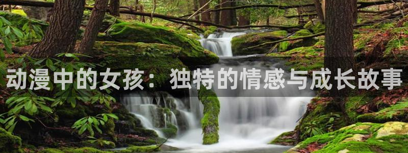 囧次元官方网站入口更新