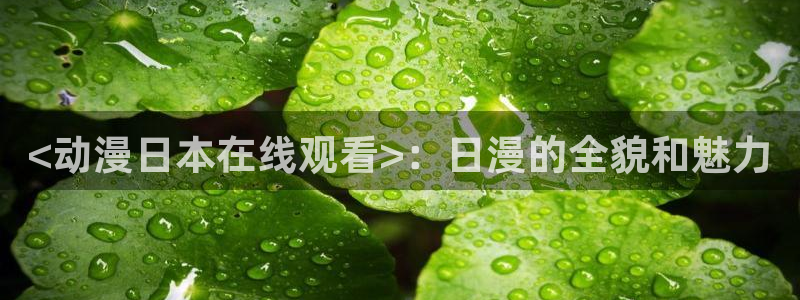 囧次元下载网站