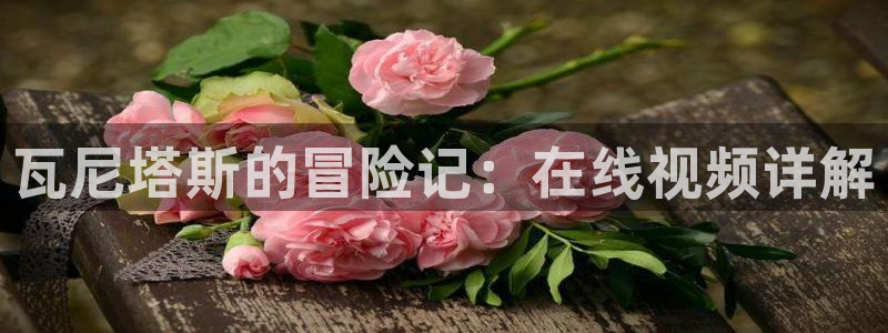 囧次元下载官方正版