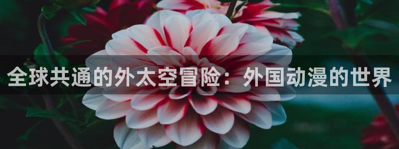 囧次元是哪个公司的