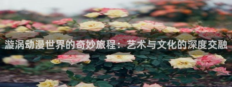 囧次元网站入口