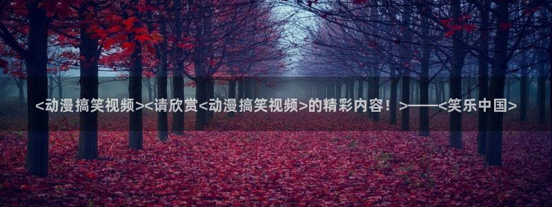 囧次元为什么打不开了