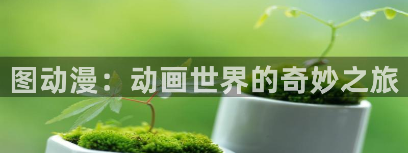 囧次元新版本下载