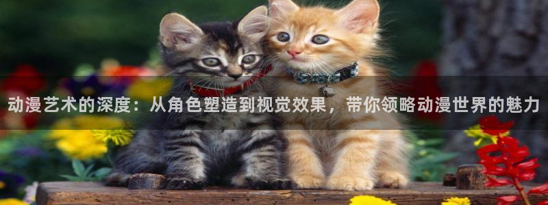 囧次元app