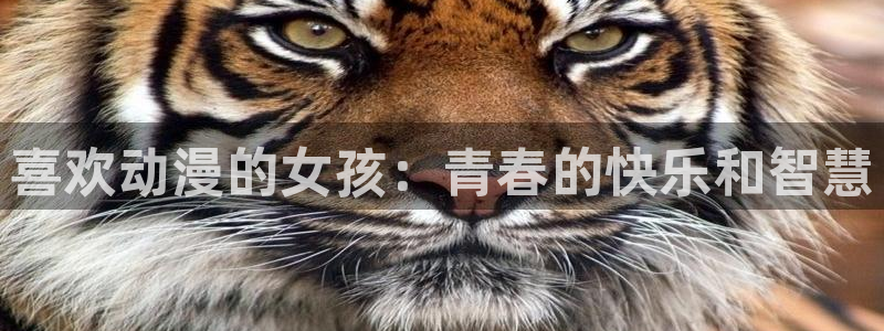 囧次元漫画