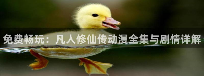 囧次元正版下载