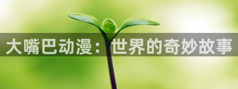 囧次元下载免费版