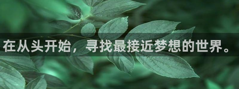 囧次元在线观看