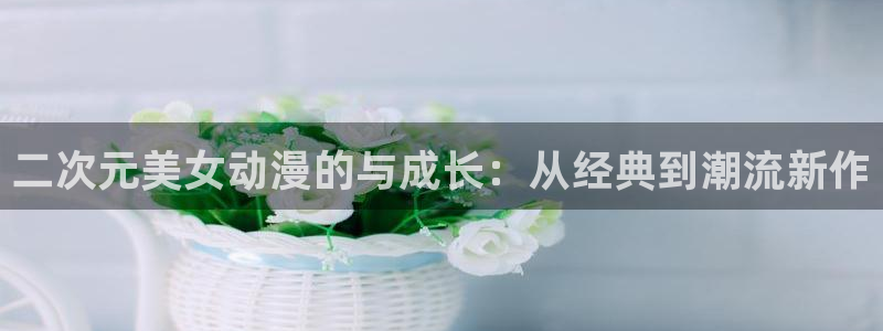 囧次元下载安装