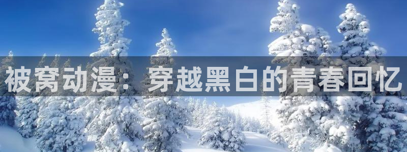 囧次元正版官网