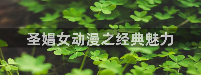 囧次元最新版本下载