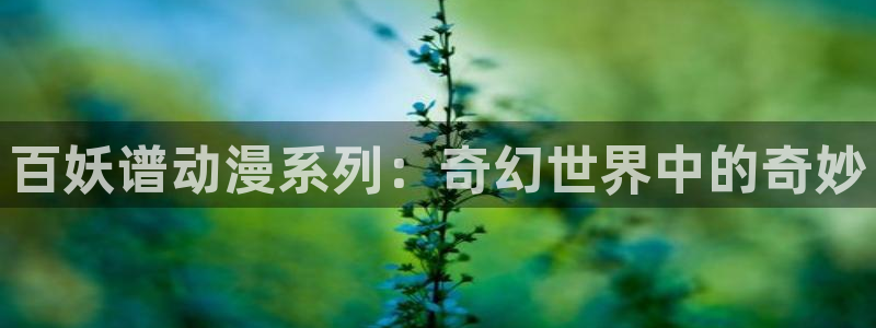 囧次元旧版