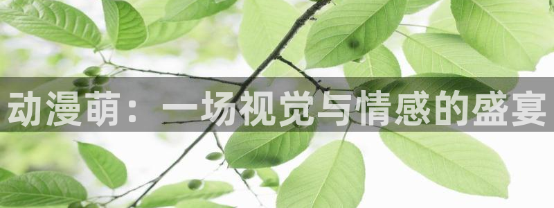 囧次元app
