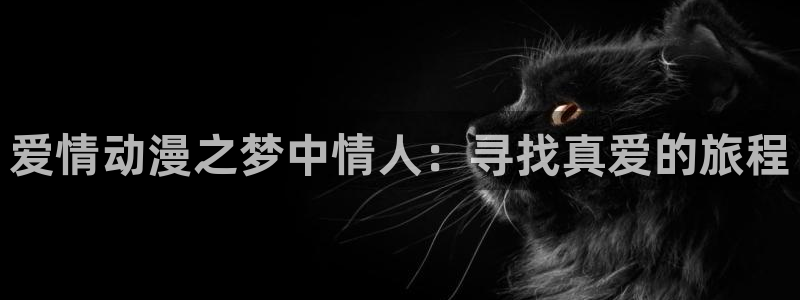囧次元app