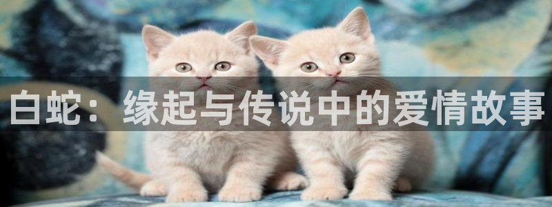 囧次元官网网址最新
