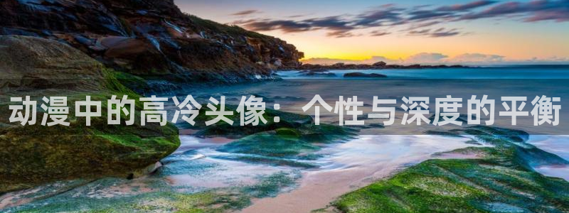 囧次元官网在线观看免费入口：动漫中的高冷头像：个性与深度的平衡